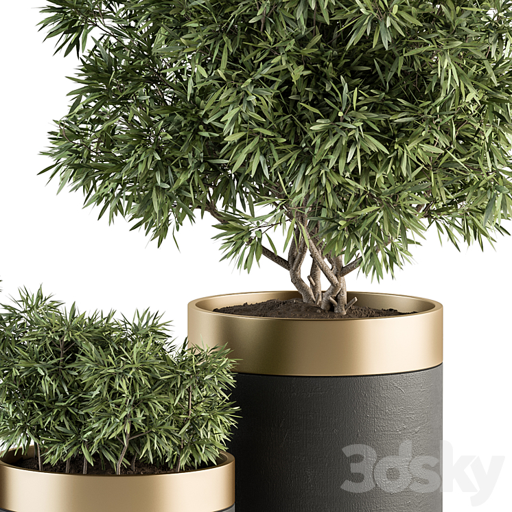 indoor Plant Set 361- Tree and Plant Set in pot 3DS Max Model - thumbnail 2