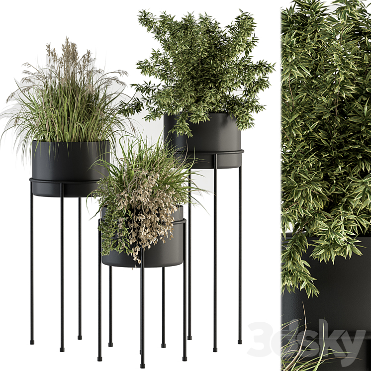 indoor Plant Set 370 – Tree and Plant Set Stand pot 3DS Max Model - thumbnail 1