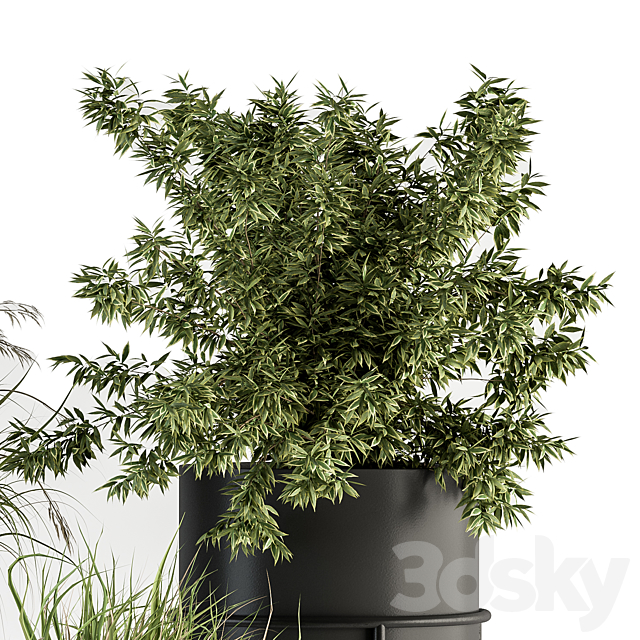 indoor Plant Set 370 – Tree and Plant Set Stand pot 3DSMax File - thumbnail 3