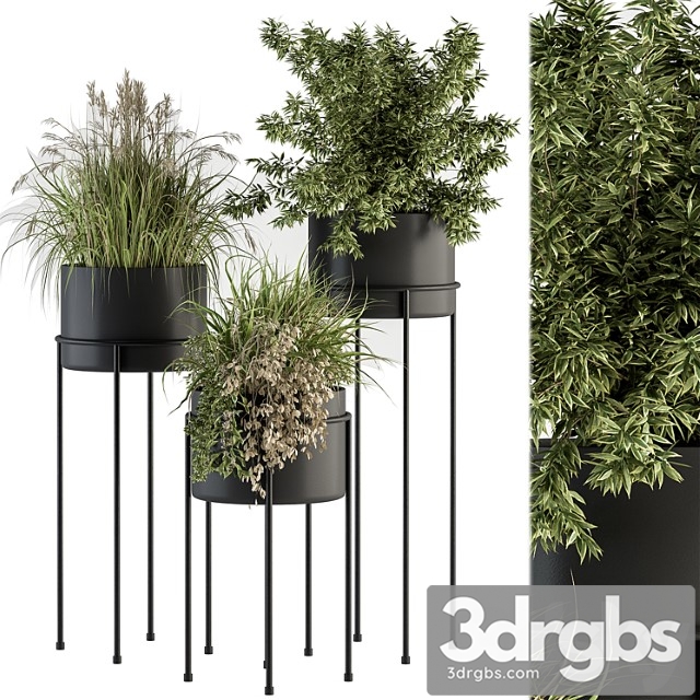 Indoor plant set 370 – tree and plant set stand pot - thumbnail 1