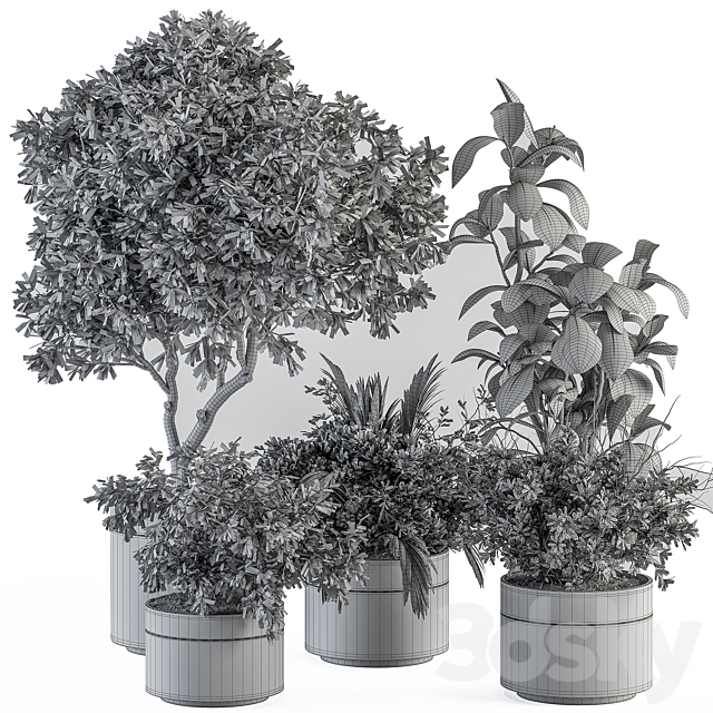 indoor Plant Set 373- Tree and Plant Set in pot 3DS Max Model - thumbnail 5