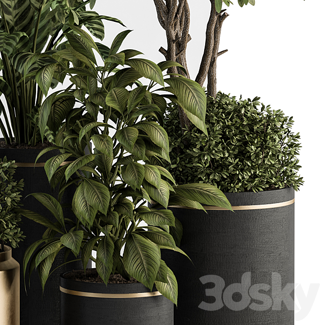 indoor Plant Set 378- Tree and Plant Set in pot 3DS Max Model - thumbnail 2