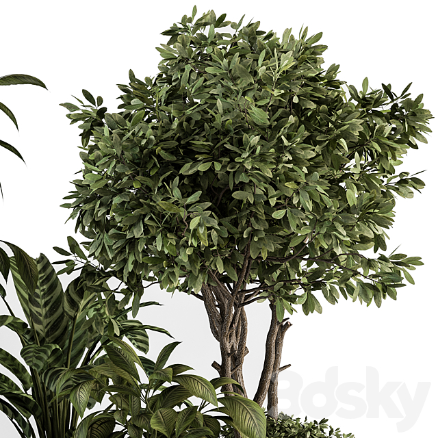 indoor Plant Set 378- Tree and Plant Set in pot 3DS Max Model - thumbnail 4