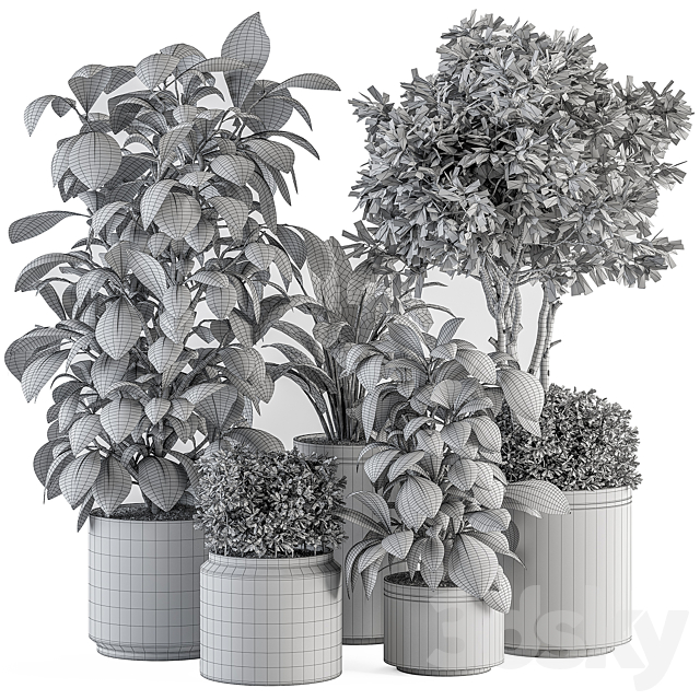 indoor Plant Set 378- Tree and Plant Set in pot 3DS Max Model - thumbnail 5