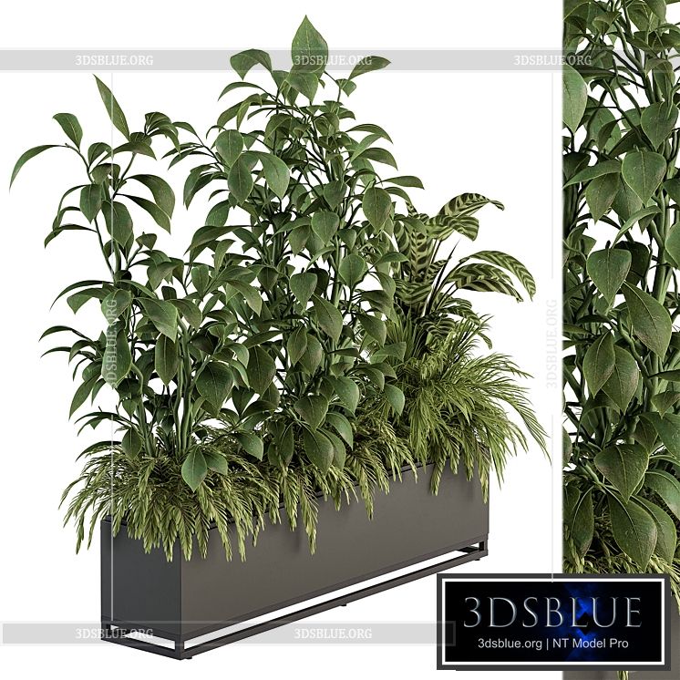 indoor Plant Set 383 – Plant Set in Box 3DS Max - thumbnail 3