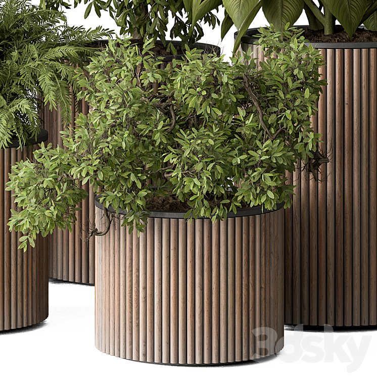 indoor Plant Set 388- Tree and Plant Set in pot 3DS Max Model - thumbnail 2