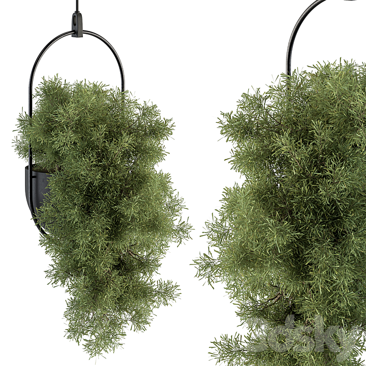 indoor Plant Set 396 – Hanging Plants 3DS Max Model - thumbnail 1