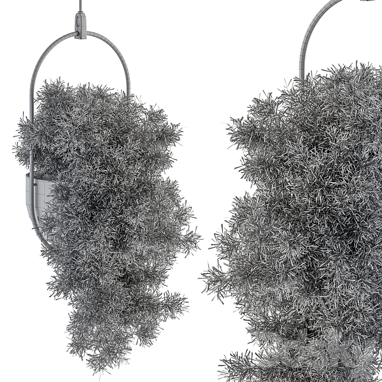 indoor Plant Set 396 – Hanging Plants 3DS Max Model - thumbnail 2