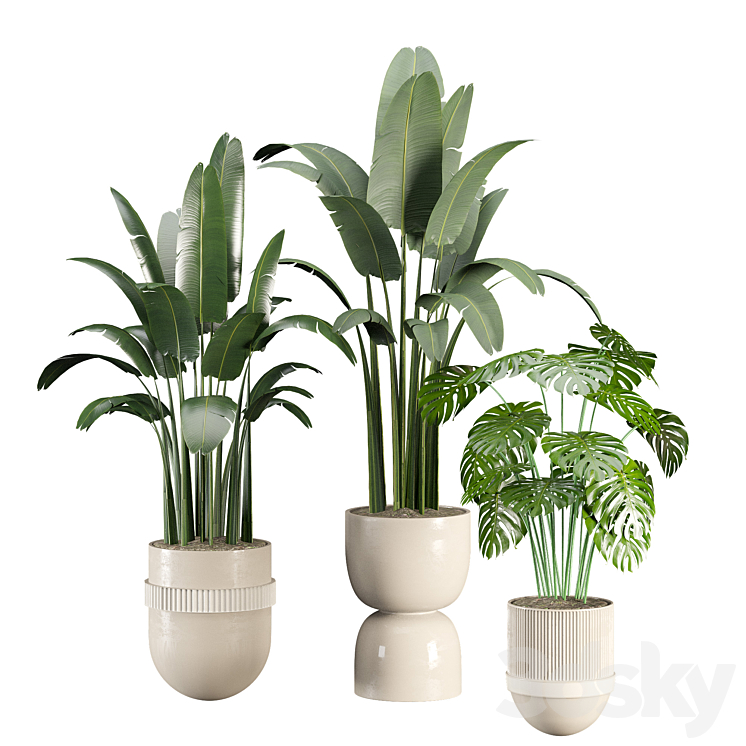 indoor-plant-set 3DS Max Model - thumbnail 1