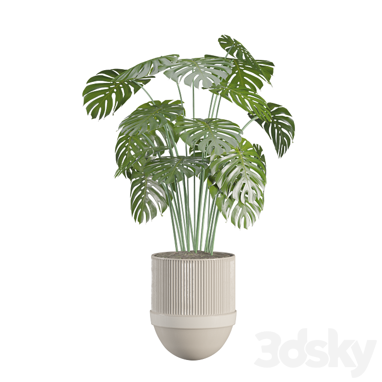 indoor-plant-set 3DS Max Model - thumbnail 2