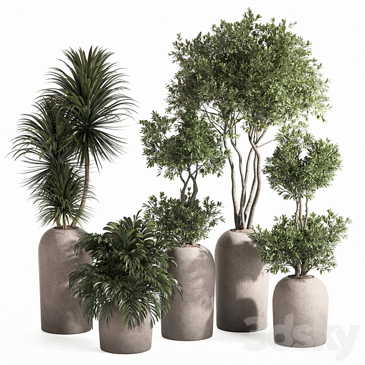 indoor plant set 3DS Max Model - thumbnail 1