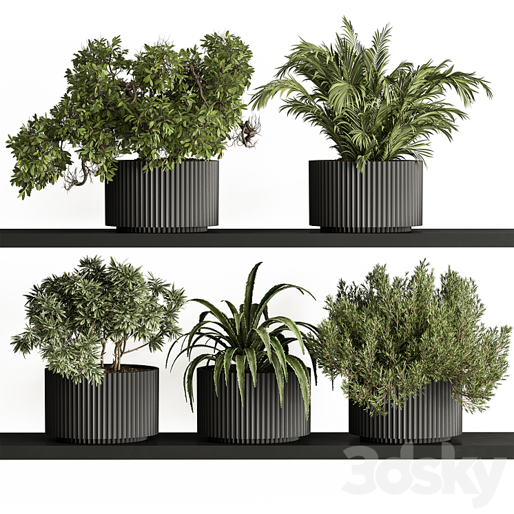 indoor Plant Set 402 – Small Plant pot 3DS Max Model - thumbnail 1