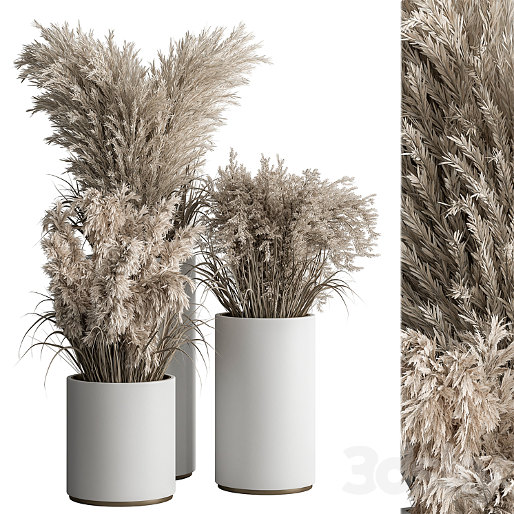 indoor Plant Set 406 – Dried Plant Set in Pot 3DS Max - thumbnail 1