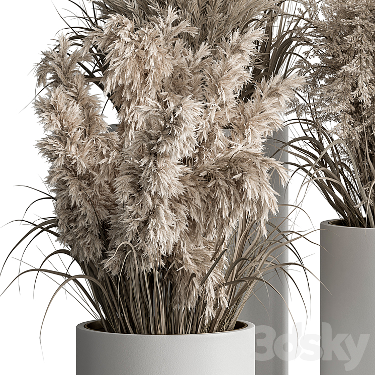 indoor Plant Set 406 – Dried Plant Set in Pot 3DS Max - thumbnail 2