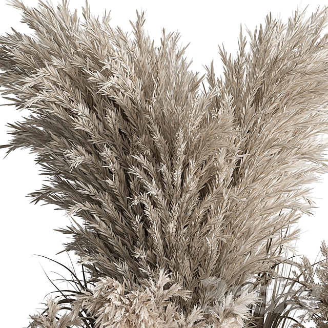 indoor Plant Set 406 – Dried Plant Set in Pot 3DSMax File - thumbnail 4