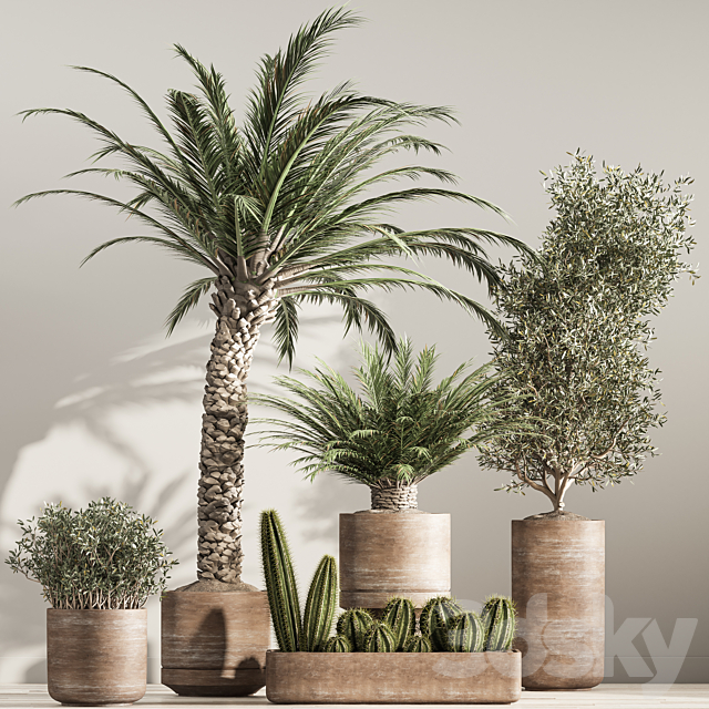 indoor plant set 41 3DS Max Model - thumbnail 2