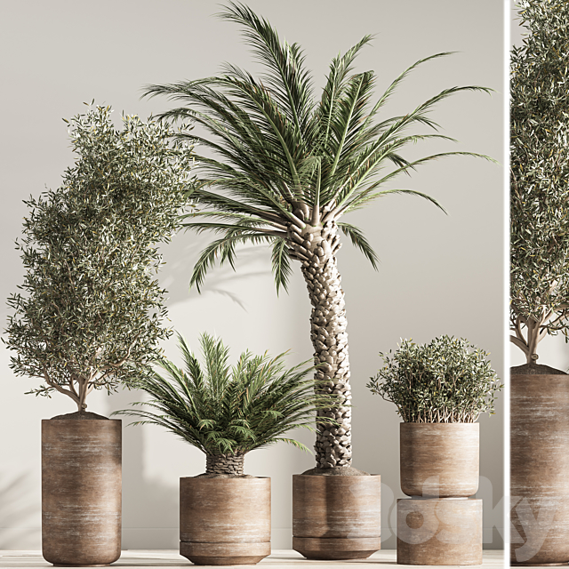 indoor plant set 41 3DS Max Model - thumbnail 3