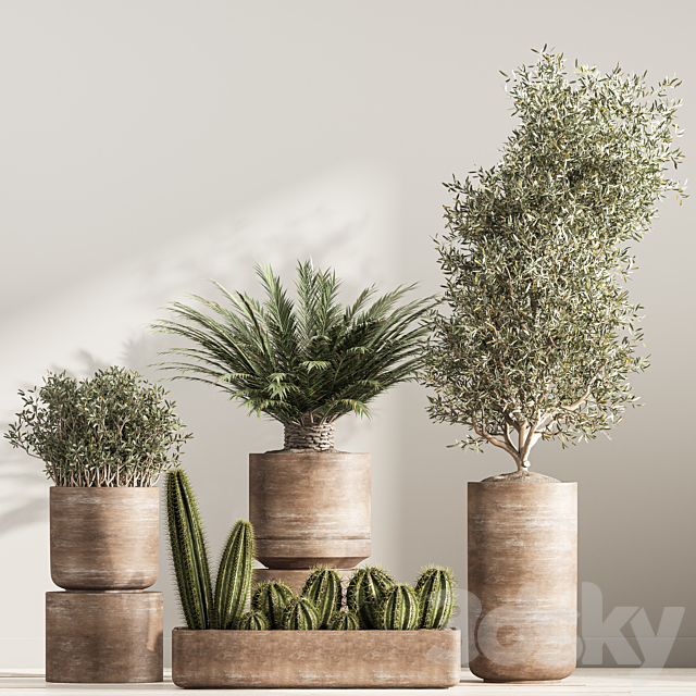 indoor plant set 41 3DS Max Model - thumbnail 4