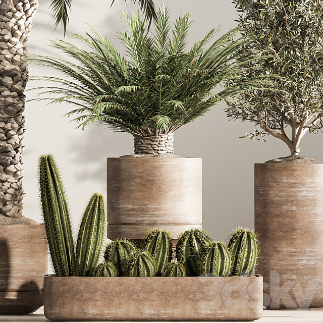 indoor plant set 41 3DS Max Model - thumbnail 5