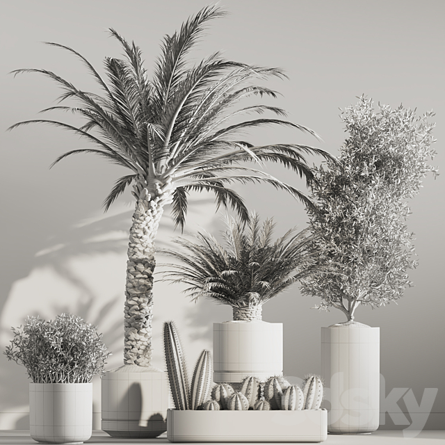 indoor plant set 41 3DS Max Model - thumbnail 7