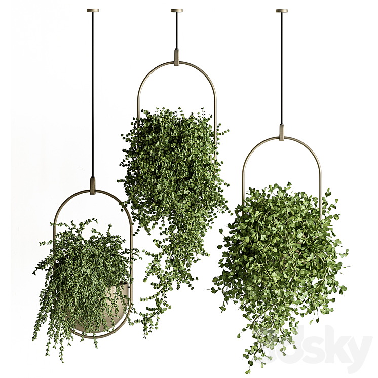 indoor Plant Set 410 – Hanging Plants 3DS Max Model - thumbnail 1