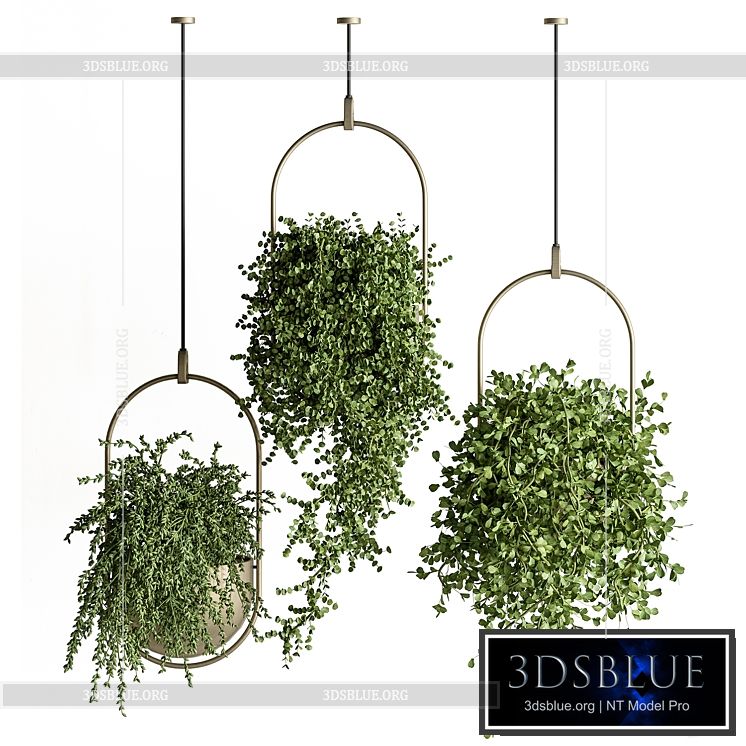 indoor Plant Set 410 – Hanging Plants 3DS Max - thumbnail 3