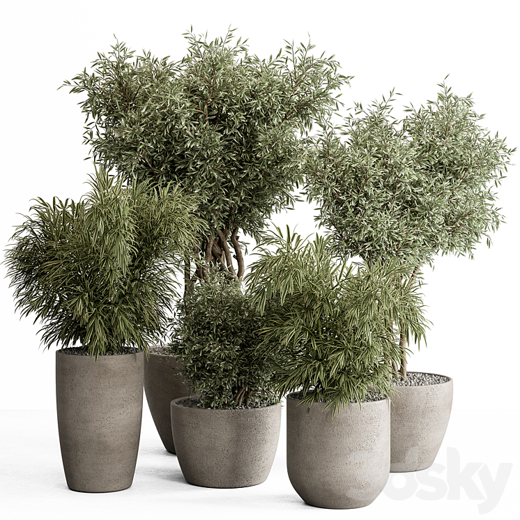 indoor Plant Set 417 – Tree and Bush 3DS Max Model - thumbnail 1