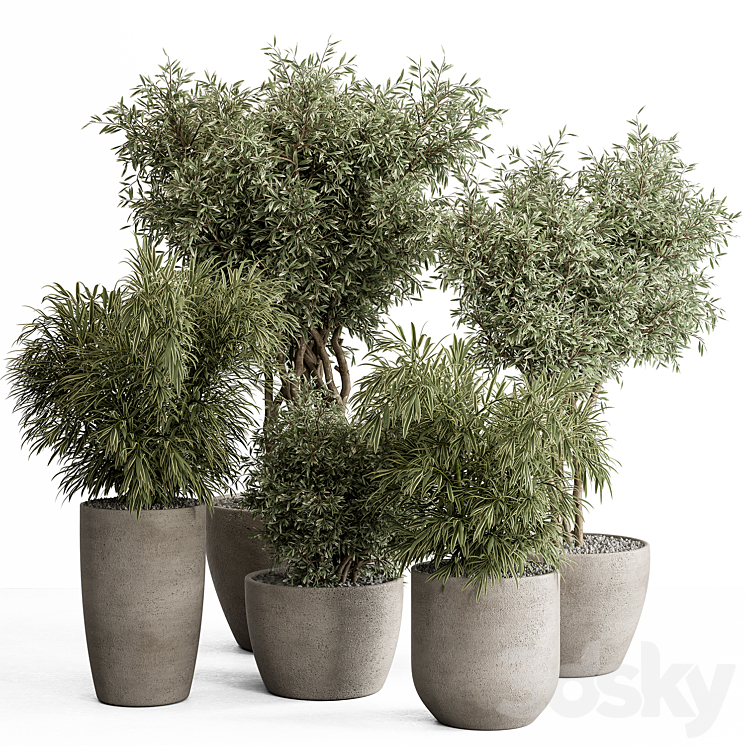 indoor Plant Set 417 – Tree and Bush 3DS Max - thumbnail 1