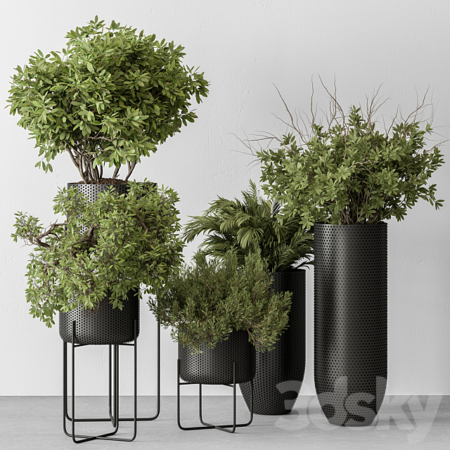 indoor Plant Set 427 – Tree and Bush 3ds Max - thumbnail 2