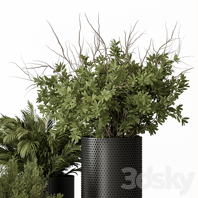 indoor Plant Set 427 – Tree and Bush 3ds Max - thumbnail 3