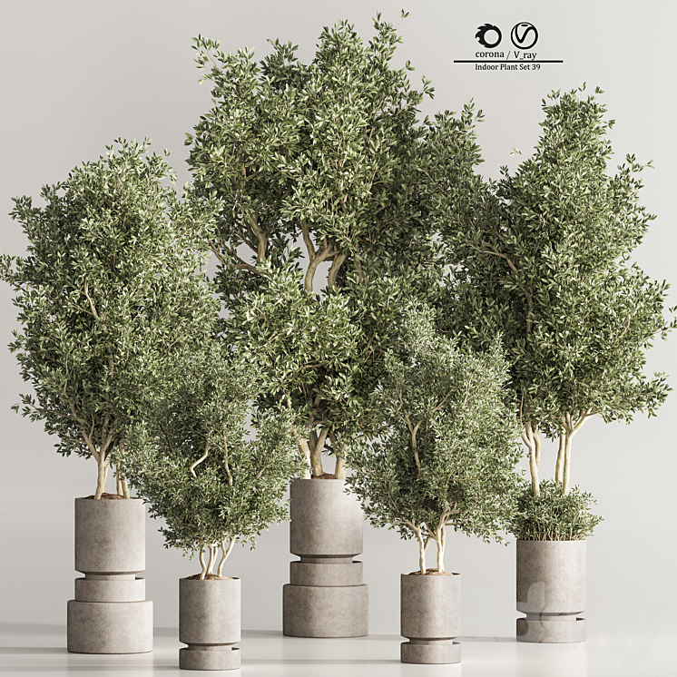 Indoor Plant Set 44 3DS Max Model - thumbnail 1