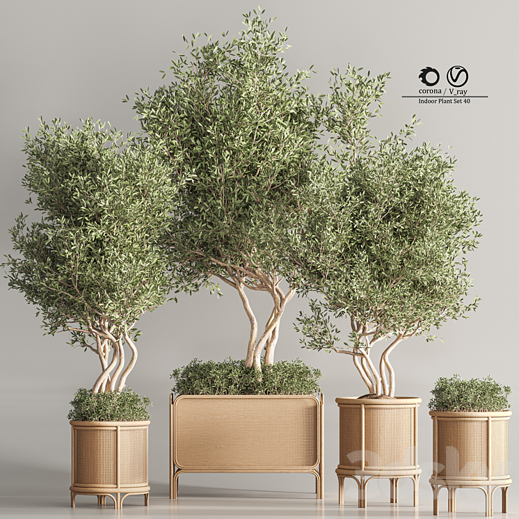 Indoor Plant Set 45 3DS Max Model - thumbnail 1