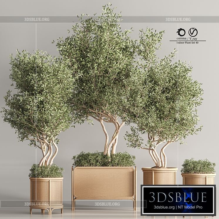 Indoor Plant Set 45 3DS Max - thumbnail 3