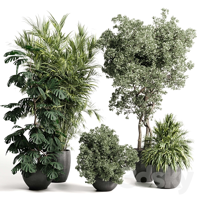 indoor plant set 452 plant bush monstera tree vase dirty concrete 3ds Max - thumbnail 1