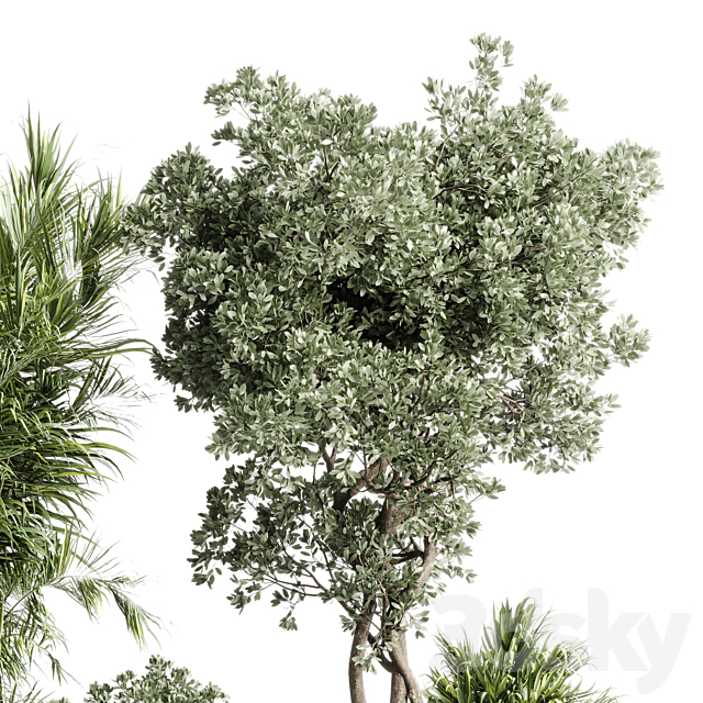 indoor plant set 452 plant bush monstera tree vase dirty concrete 3ds Max - thumbnail 2