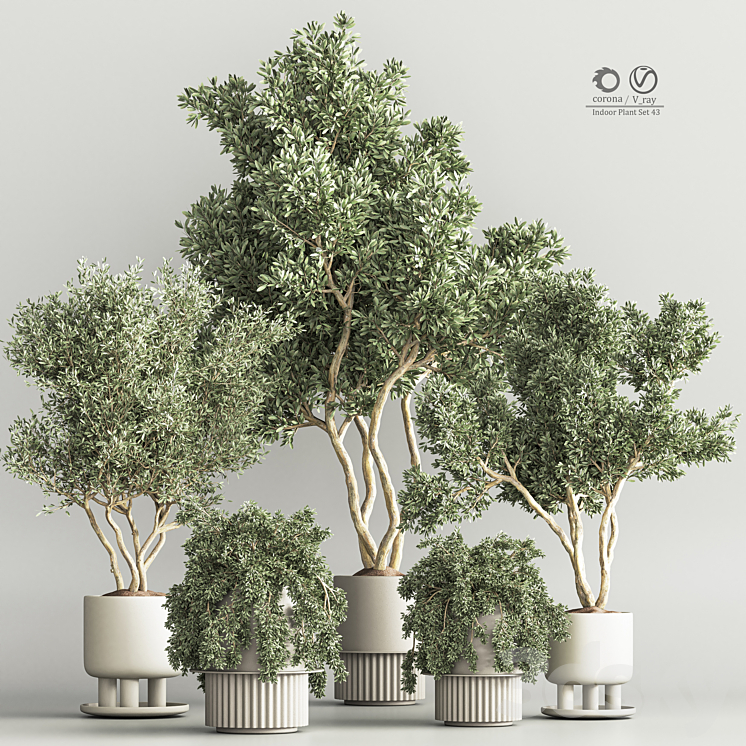 Indoor Plant Set 48 3DS Max Model - thumbnail 1