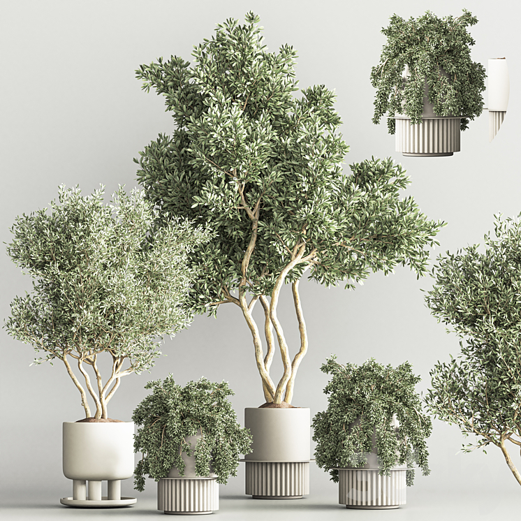 Indoor Plant Set 48 3DS Max Model - thumbnail 2