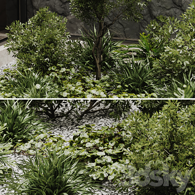 indoor plant set 50 3DSMax File - thumbnail 3