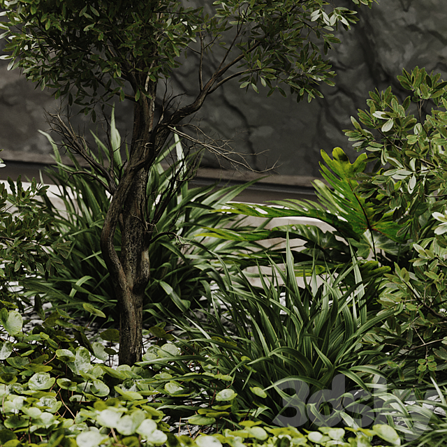 indoor plant set 50 3DSMax File - thumbnail 5