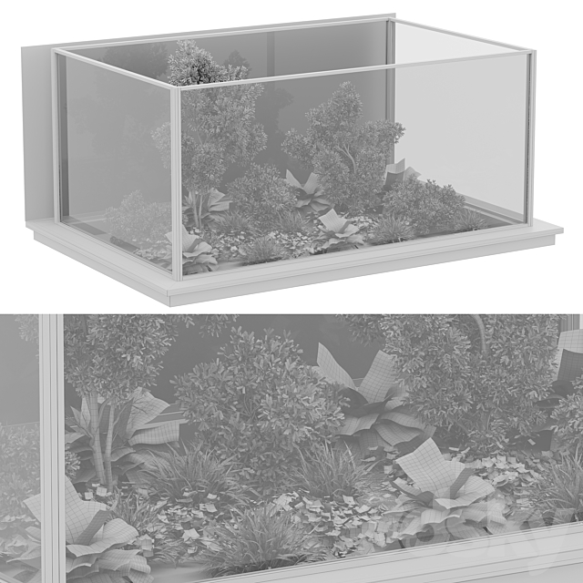 indoor plant set 50 3DSMax File - thumbnail 7