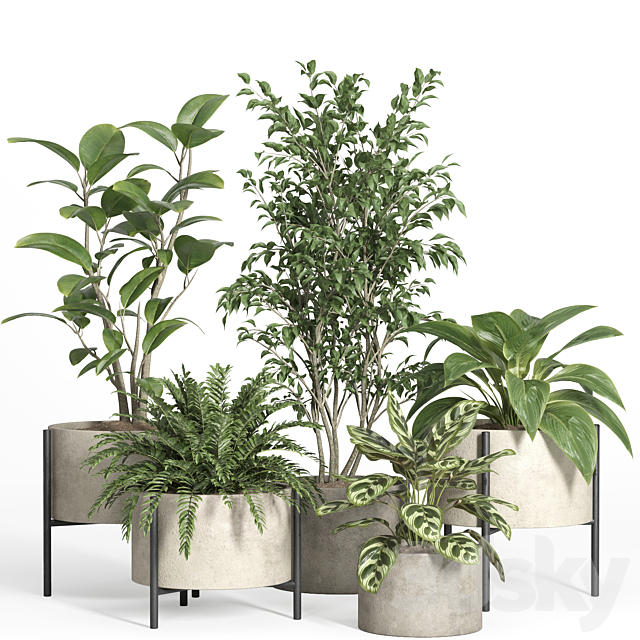 indoor plant set 52-concrete and metal pot 3ds Max - thumbnail 1