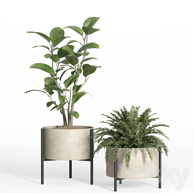 indoor plant set 52-concrete and metal pot 3ds Max - thumbnail 3