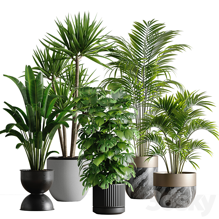 indoor plant set 53 3DS Max - thumbnail 1