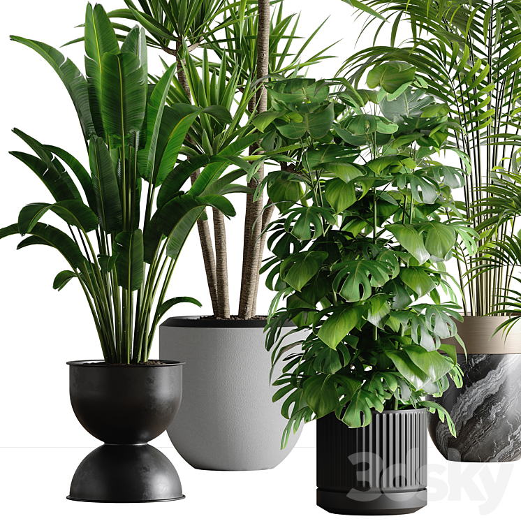 indoor plant set 53 3DS Max - thumbnail 2