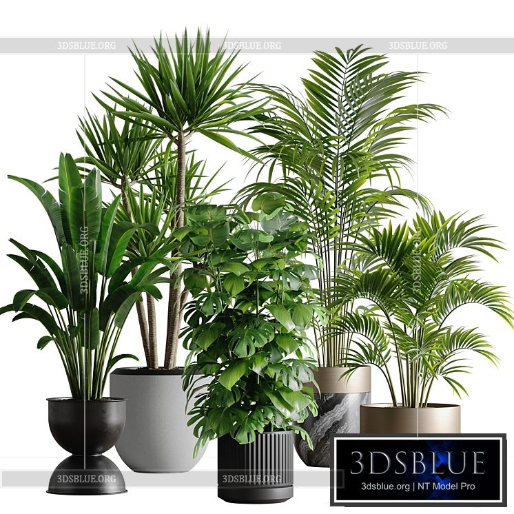 indoor plant set 53 3DS Max - thumbnail 3