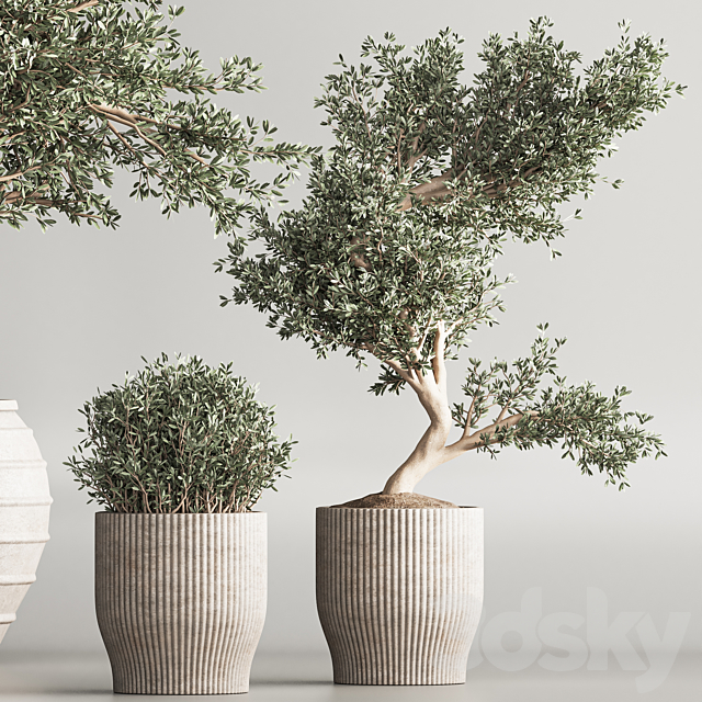 Indoor Plant Set 53 3DS Max Model - thumbnail 5