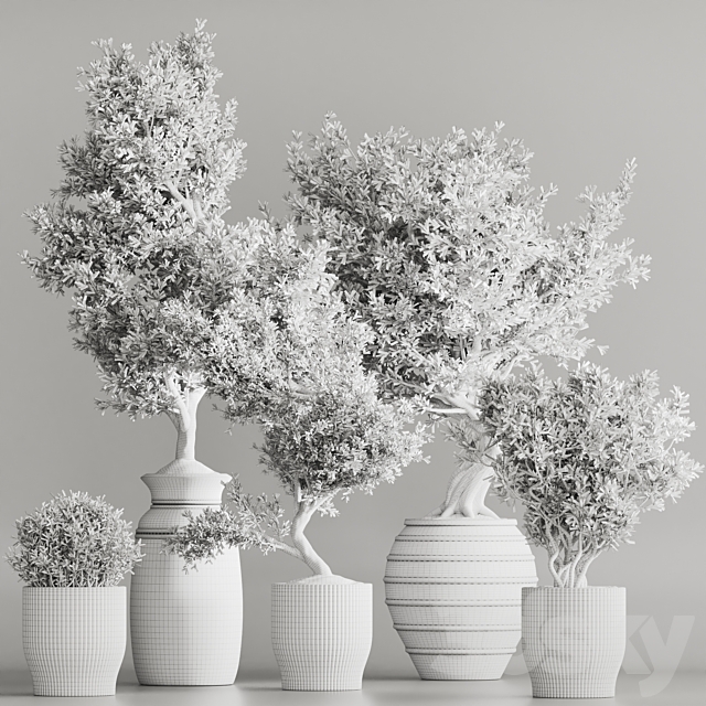 Indoor Plant Set 53 3DS Max Model - thumbnail 7