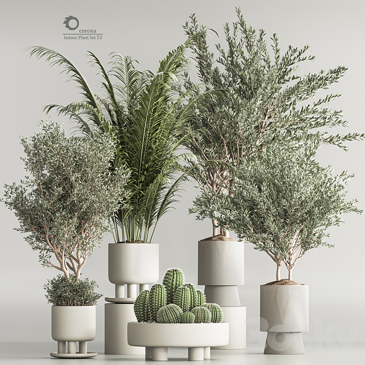 Indoor Plant Set 54(Corona) 3DS Max - thumbnail 1