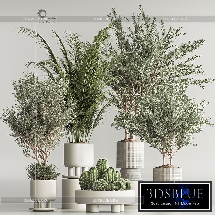 Indoor Plant Set 54(Corona) 3DS Max - thumbnail 3