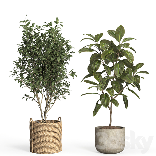 indoor plant set 55- rattan and concrete 3ds Max - thumbnail 2